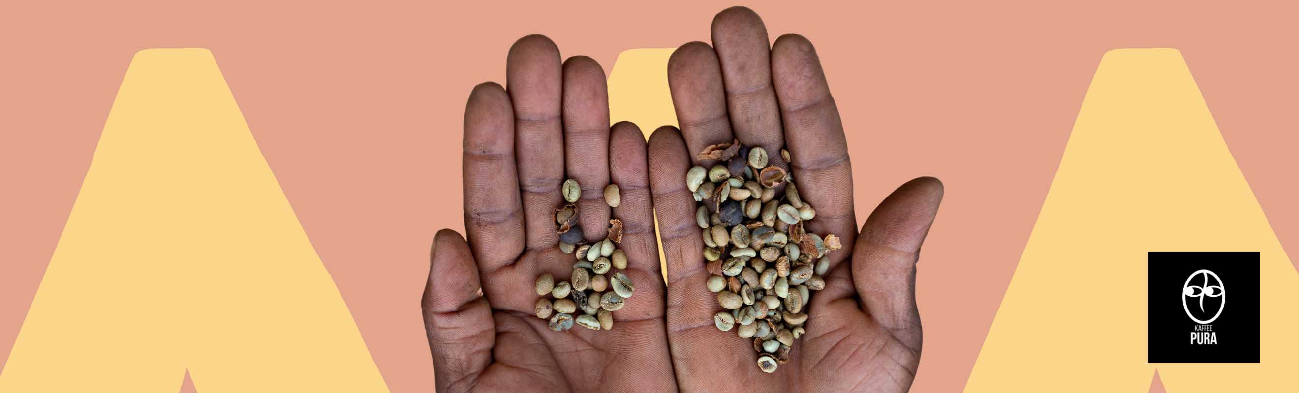 Kaffee Pura Kaffee Pura