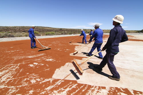 Bio Rooibos Tee - Südafrika