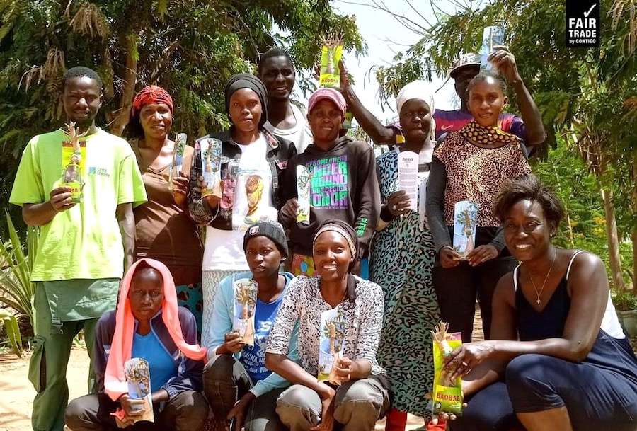 Baobab Setzlinge aus Afrika Contigo