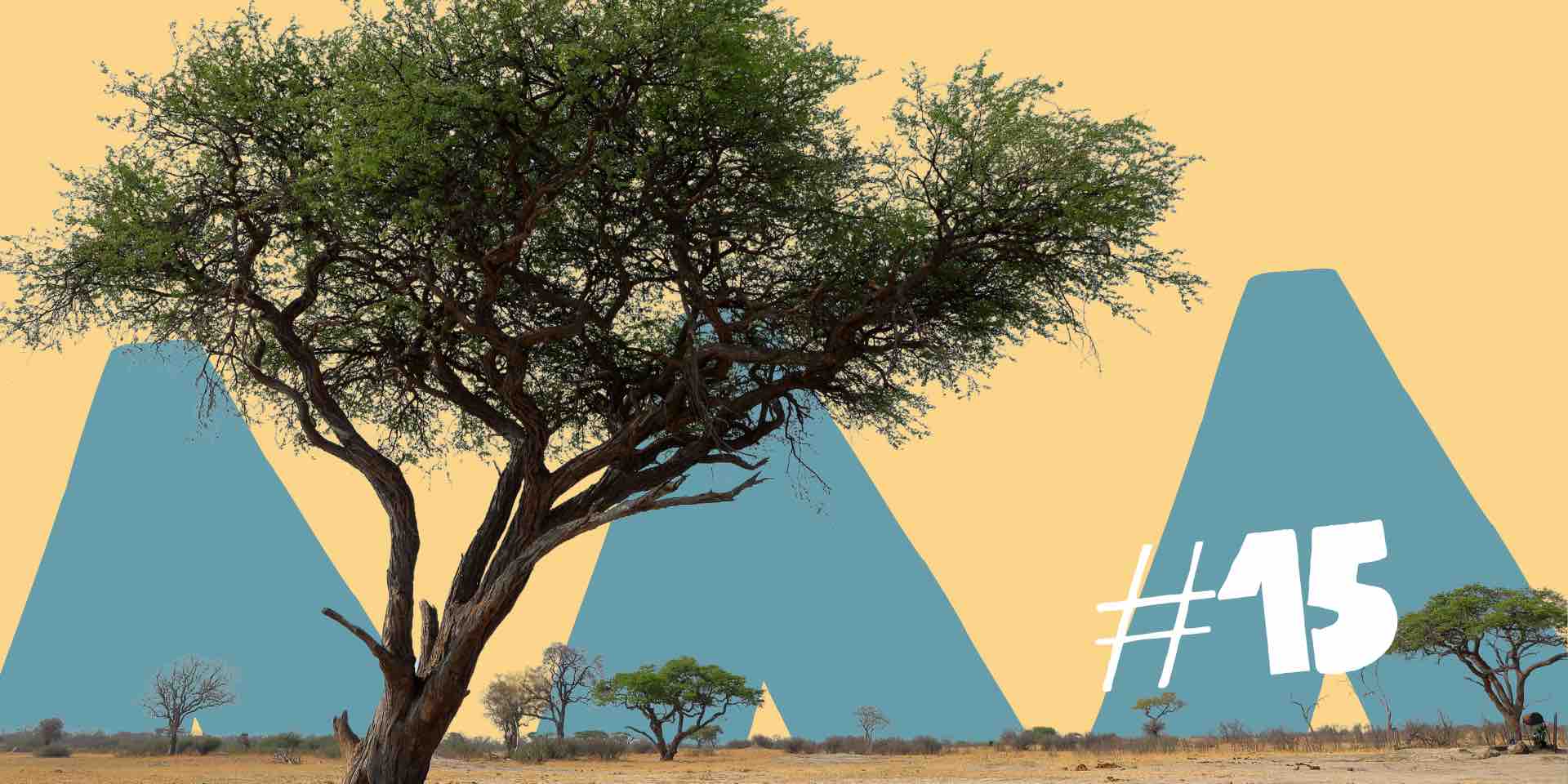 Grüne Mauer Afrika - Blog 15 Grüne Mauer Afrika - Blog 15
