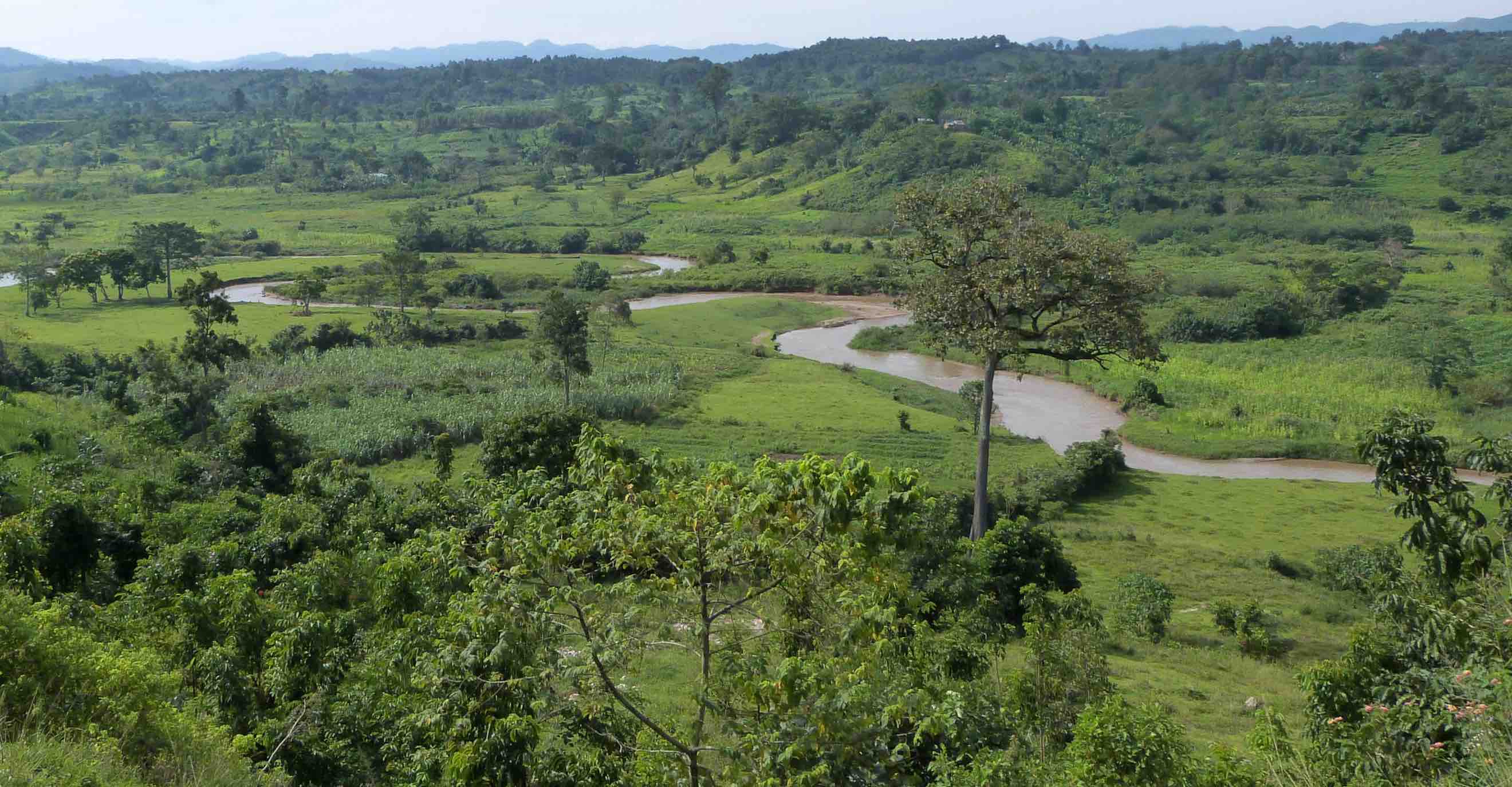 Isombe Essen Rezept Ruanda Isombe Essen Rezept Ruanda