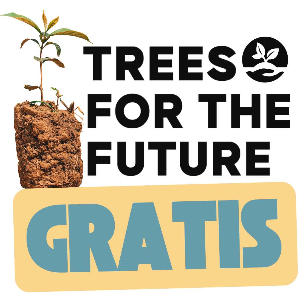 Baumpflanzung in Afrika - GRATIS für Dich Baumpflanzung in Afrika - GRATIS für Dich