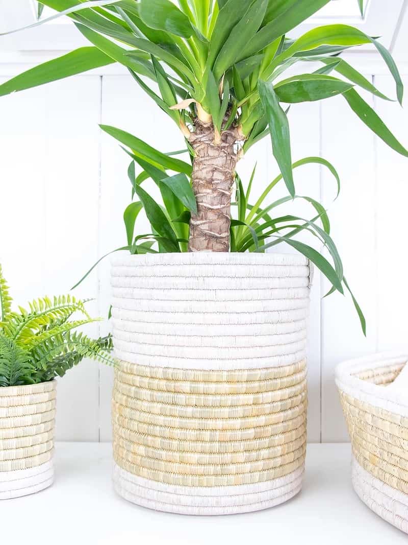 Katakuru Korb - 25cm - Recycelt Weiß Katakuru Korb - 25cm - Recycelt Weiß