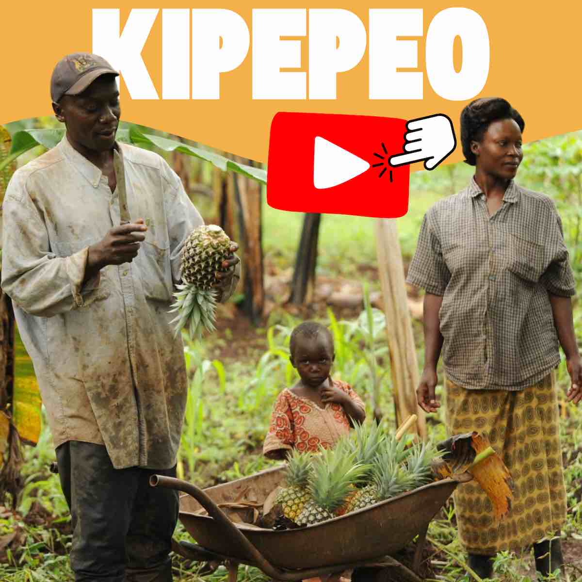 Kipepeo Fair GmbH Tansania Bio Ananas Trockenfrüchte Mango Papaya