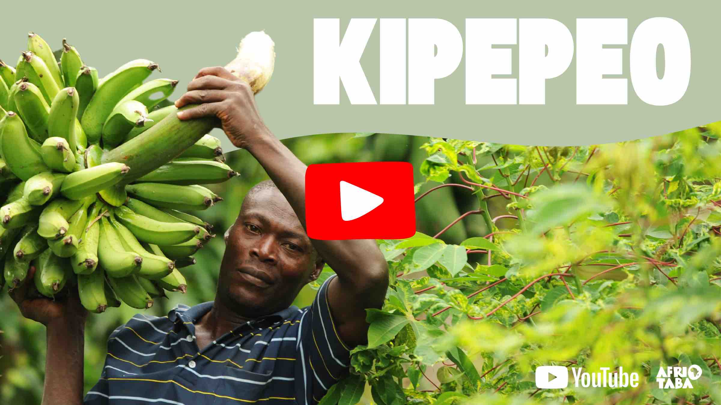 Kipepeo Youtube Video