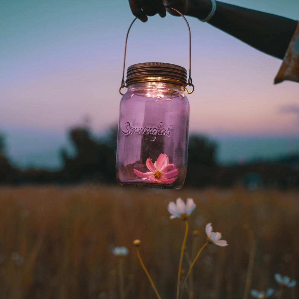 Sonnenglas - Solarlampe Lilac - GEN6 Lila Sonnenglas - Solarlampe Lilac - GEN6 Lila