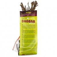 Baobab Setzling Groß - 5-7 Jahre - Zimmerpflanze