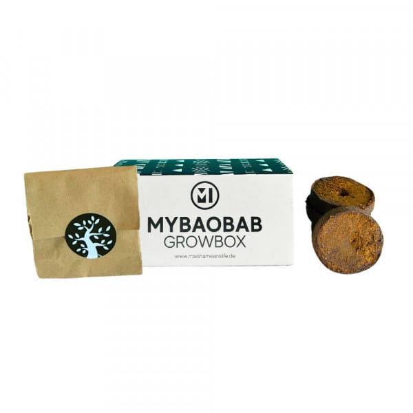 Baobab Samen - Growbox - Zimmerpflanze